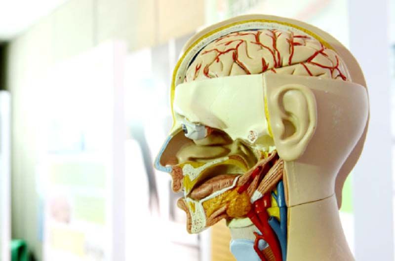 ดูแลสุขภาพผู้สูงอายุอย่างไร...ห่างไกลสมองเสื่อม