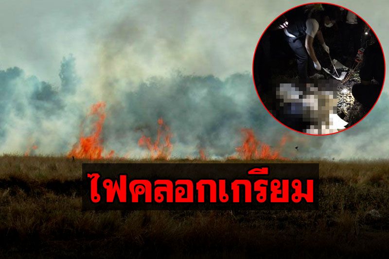 สลดจุดไฟเผาตอซัง​! ชายวัย58หัวใจกำเริบวูบ ไฟคลอกไหม้เกรียม​ริมคันนา