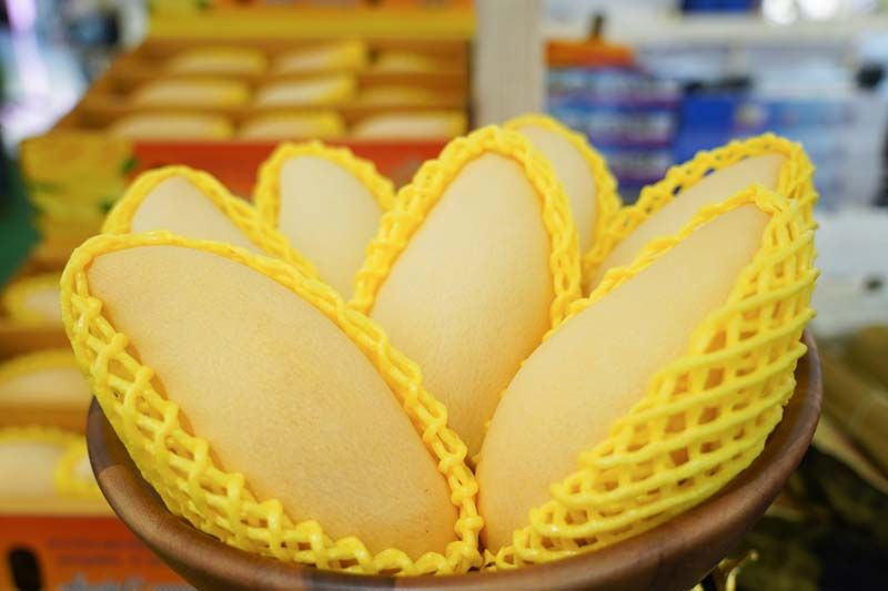 ‘Mango of SIAM’ ที่สุดแห่งมะม่วงไทย ถูกใจทั่วโลก