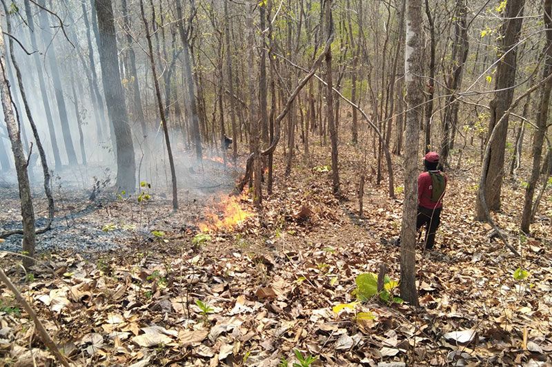 เร่งดับไฟป่าแม่ฮ่องสอน! ลุมลามอีกครั้ง จากการลอบเผาเก็บเห็ด (ชมคลิป)