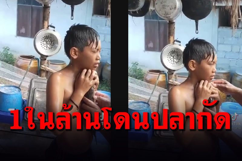 โอ้ยน้อ...เอ็นดู! เด็กน้อยโชว์จูบปลาช่อนอีท่าไหนไม่รู้ปลากระโดดกัดซะก่อน