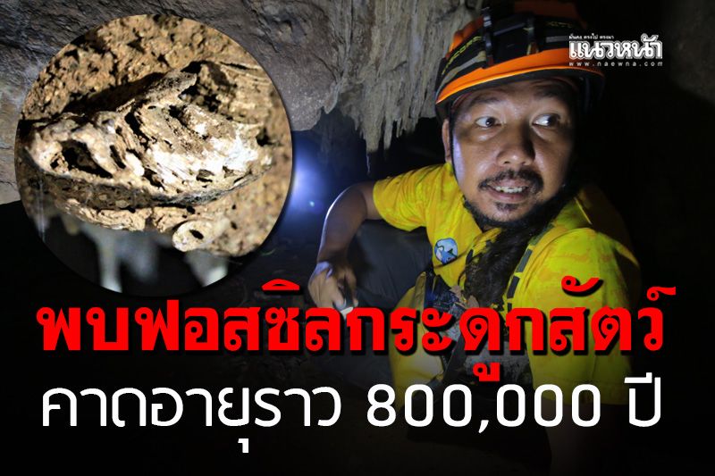 ทึ่ง! พบฟอสซิลกระดูกสัตว์หลายชนิดคาดอายุราว 800,000 ปี