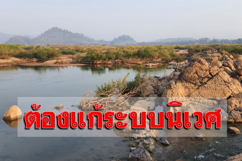 NGO ชี้เพาะขยายพันธุ์ปลาน้ำโขงท้ายเขื่อนไซยะบุรีไม่ได้ผล ต้องแก้ปัญหาระบบนิเวศ