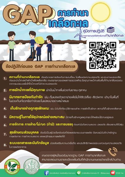 หนุนเกษตรกรขอรับรองมาตรฐานGAPเกลือทะเลไทย  ยกระดับการผลิตให้ได้มาตรฐาน-ปลอดภัย