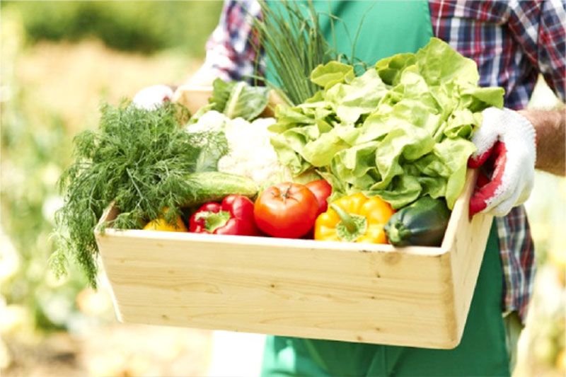 LIFE & HEALTH : กินผักผลไม้ลดโรคชะลอวัย