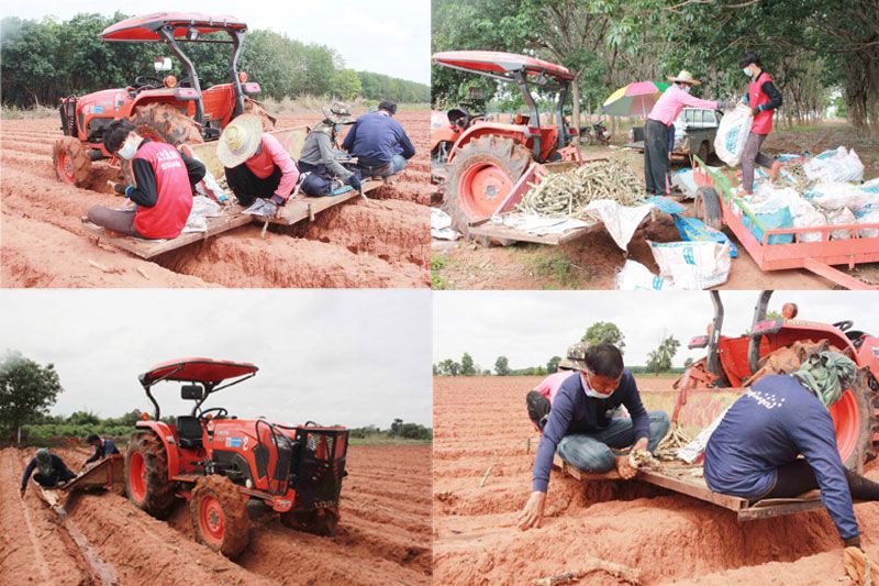 รายงานพิเศษ : พบหนุ่มใหญ่ชาวกาฬสินธุ์ปิ๊งไอเดีย  แต่งรถไถเป็นรถปลูกมันสำปะหลัง  ประหยัดแรงงาน-ปลูกได้เกือบ20ไร่/วัน