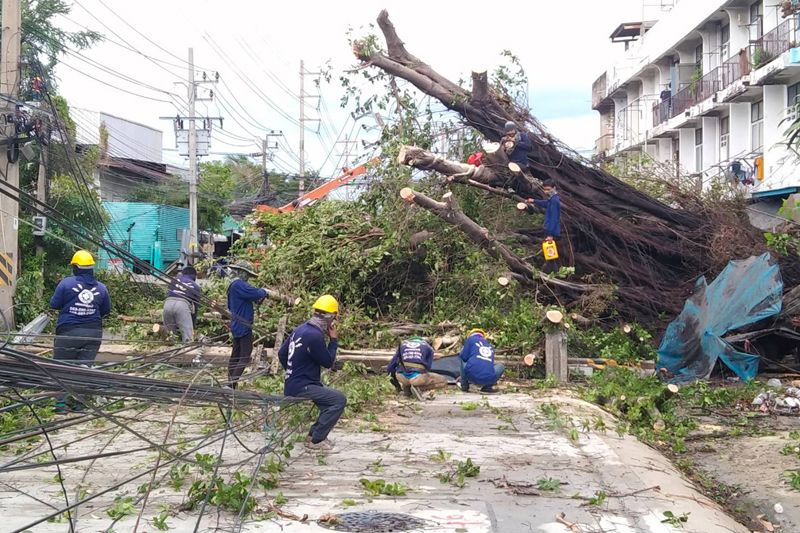 พายุกระหน่ำสมุทรปราการ เสาไฟฟ้าหัก-ต้นไม้ใหญ่ล้มทับรถชาวบ้าน