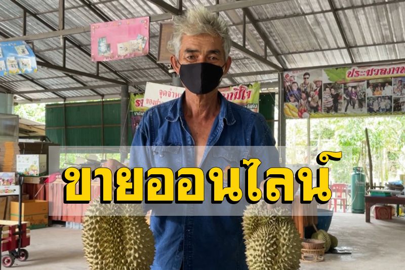 ขายดี! ลูกค้าแห่จองทุเรียนออนไลน์ไปรษณีย์รับถึงสวนยอดส่งกว่า 200 กิโลต่อวัน