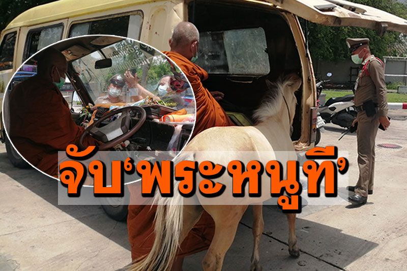 จับอีกแล้ว!'พระหนูที'ขับรถตู้บรรทุกม้าหมูป่า ไร้ใบขับขี่-พรบ.ขาด ส่งเจ้าคณะอำเภอสอบ