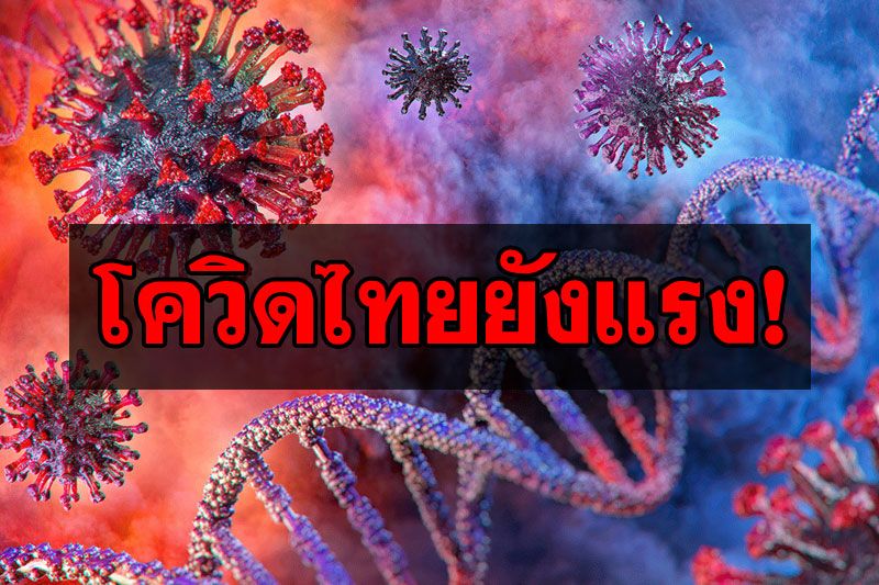 ‘โควิดไทย’ยังแรง! ป่วยเพิ่ม2,419ราย เสียชีวิตอีก19ราย