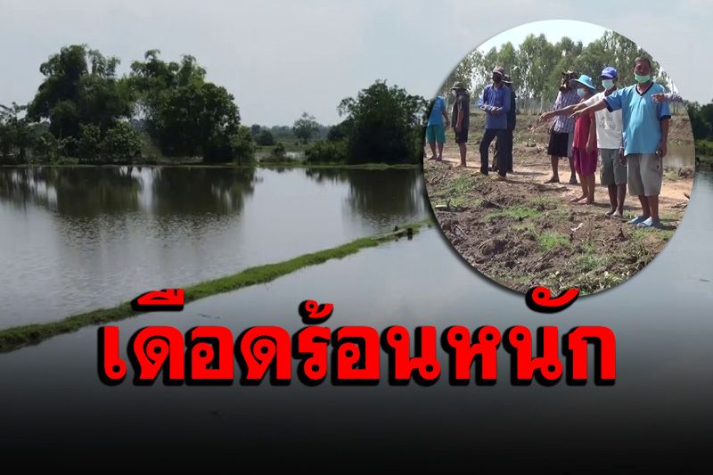 เกษตรกรโวยรัฐขุดลอกลำห้วย​ ปิดทางระบาย​ทำน้ำท่วมนาข้าวกว่าพันไร่