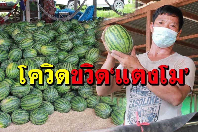 ‘โควิด’ฟาดหางทุบ‘ตลาดแตงโม’ใหญ่สุดในอีสาน ซบเซาหนักสุดรอบ10ปี