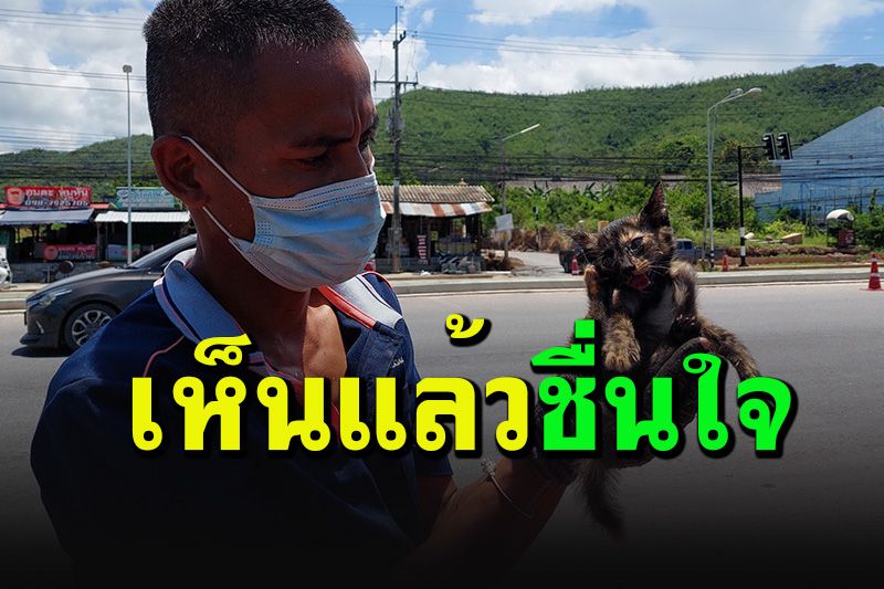 ทุกชีวิตมีค่า กู้ภัยฯใจหล่อ มุดช่วยชีวิตลูกแมวติดใต้ท้องรถกลางถนน