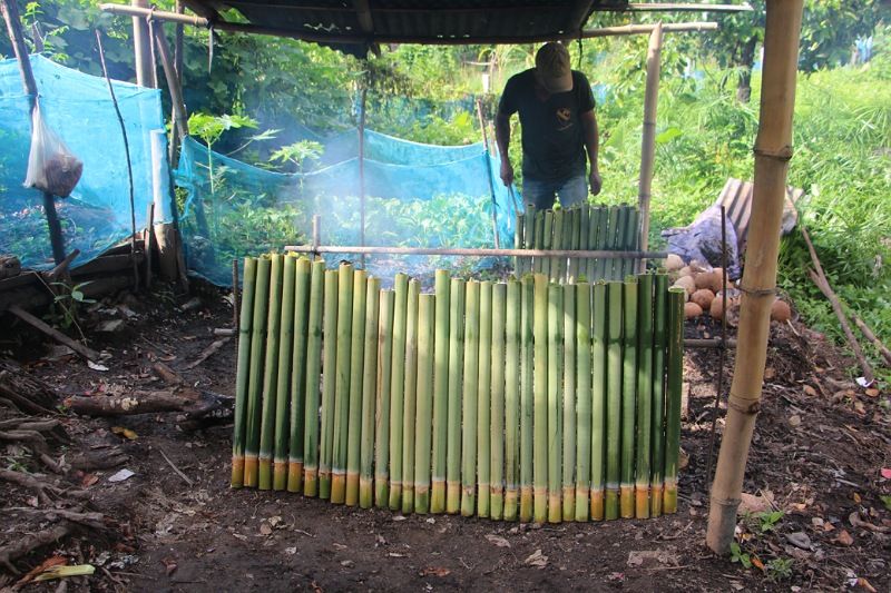 ‘ข้าวหลามบาซูก้า’ อีกหนึ่งอัตลักษณ์ของชาวมุสลิม รับวันฮารีรายอ