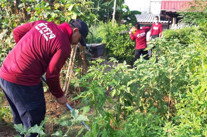 โรงพักดอนตาลใช้พื้นที่ว่างทำเศรษฐกิจพอเพียงลดค่าใช้จ่ายเพิ่มรายได้พลเรือน