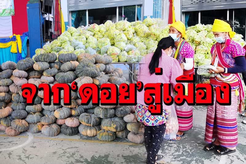 ‘กะเหรี่ยง’อมก๋อย รวมพืชผลเกษตร 10 ตัน แจกจ่ายช่วย‘คนเมือง’บรรเทาผลกระทบโควิด