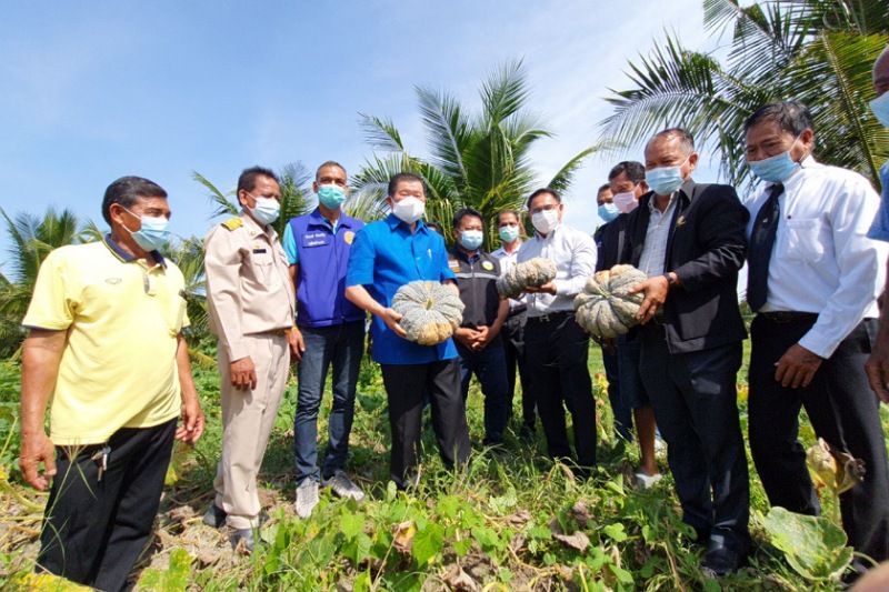 ‘นิพนธ์’ ลุยแก้ปัญหาราคาพืชเกษตรตกต่ำ ซื้อตรงจากสวนแจก ปชช. ฝ่าโควิดไปด้วยกัน