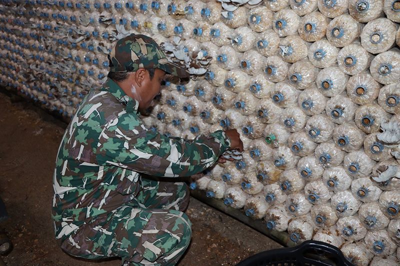 ‘ภูหินร่องกล้า’ เพาะเห็ดภูฐาน ส่งเสริมอาชีพชาวไทยภูเขาเผ่าม้ง
