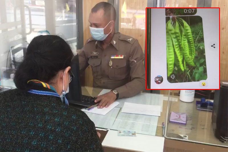 เมียรองสารวัตรสุดแค้น! ถูกหลอกขายสะตอผ่านเฟซบุ๊ก สูญเงินนับพัน