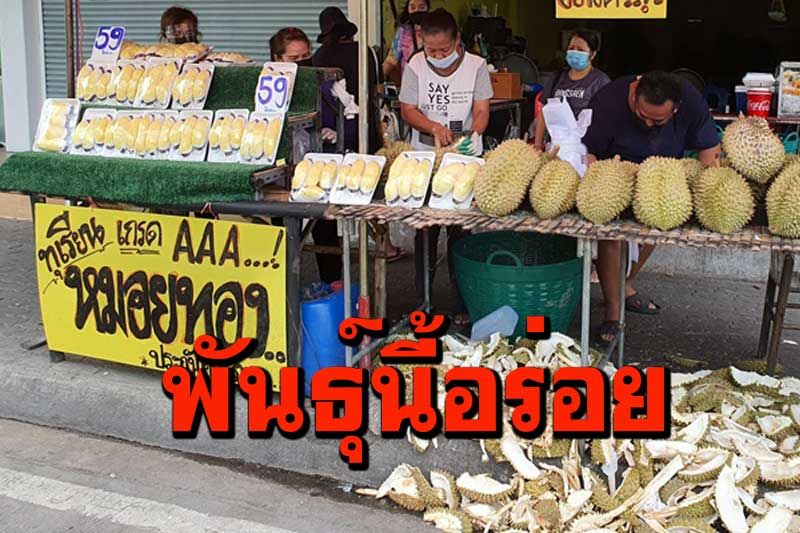 งง!'ทุเรียนพันธุ์นี้มีด้วยหรือ ที่แท้เจ้าของร้านเขียนผิดกลายเป็นจุดขาย