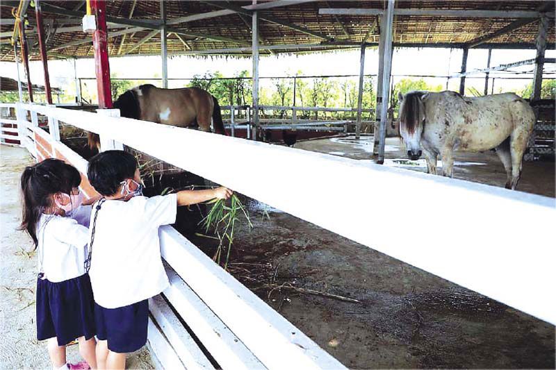 ศูนย์การเรียนรู้สาธิตกรุงเทพธนฯ สุดสมบูรณ์  ดึงดูด‘นกกระจาบทอง’แวะมาเยี่ยมเยือน