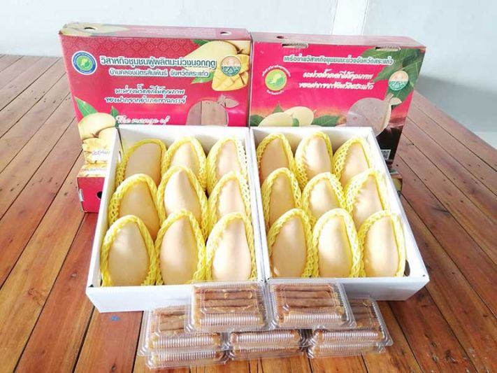 เกษตรปลื้มมะม่วงแปลงใหญ่สระแก้วผลตอบรับดี  เตรียมส่งออกตลาดฮ่องกงพันตันมูลค่า45ล้านบาท