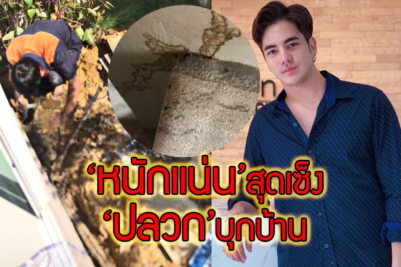 ไร้มาตรฐานซ่อมไม่รู้จบ‘หนักแน่น’กุมขมับสุดเซ็งเจอ‘ปลวก’บุกบ้าน
