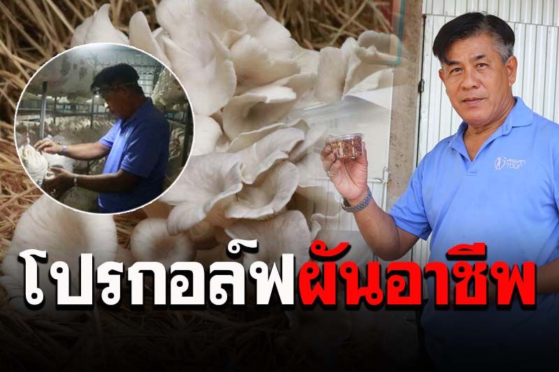 'โปรอ้วน'ผัวตัวเองสู่วงการเห็ดออแกนิค ต่อยอดผลิตภัณฑ์สร้างรายได้งามๆ