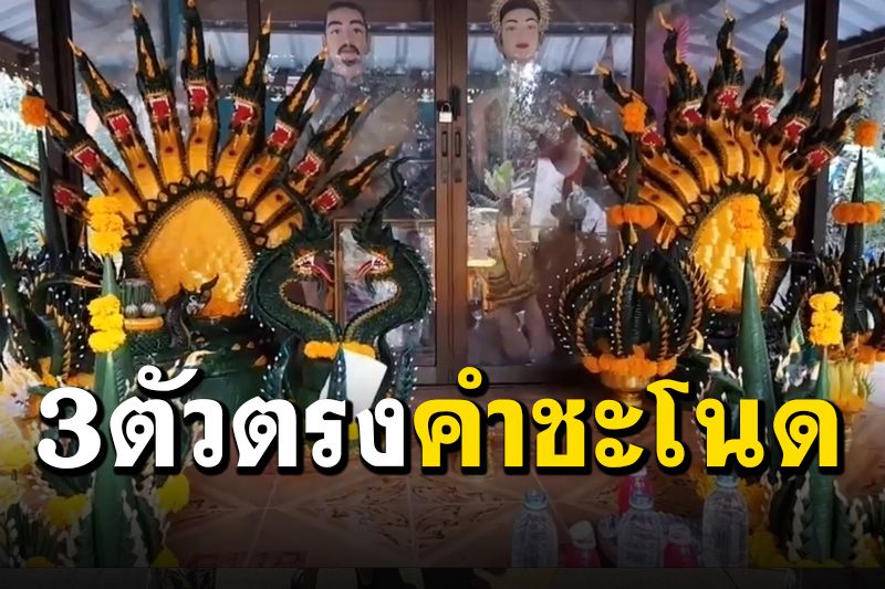 ทิ้งทวนก่อนปิดยาว! คอหวยแห่ทำพิธีบวงสรวง ‘พ่อปู่แม่ย่า’ เห็นเต็มๆ 3 ตัวตรง