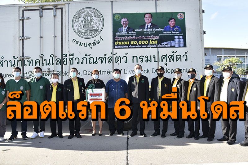 มาถึงไทยแล้ว! วัคซีนลัมปีสกินล็อตแรก6หมื่นโดส ช่วยเกษตรกรฉีดโค-กระบือฟรี