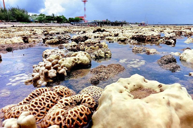 'ศรชล.'ร่วม'ศวทอ.'สำรวจปะการังฟอกขาว สร้างความสนใจนักท่องเที่ยว