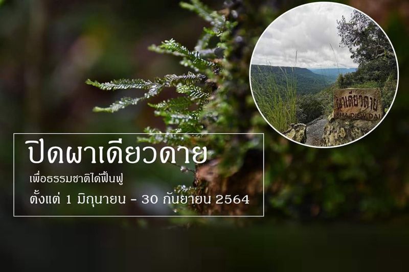 อุทยานแห่งชาติเขาใหญ่ประกาศปิด ‘ผาเดียวดาย’ ให้ธรรมชาติได้ฟื้นฟู