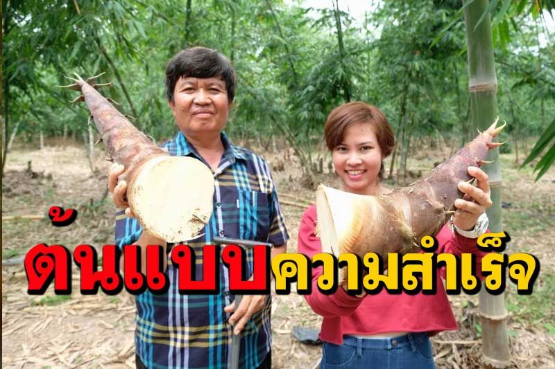 ชู 'กลุ่มแปลงใหญ่ไผ่ท่าตะเกียบ' ฉะเชิงเทราต้นแบบความสำเร็จลดต้นทุนเพิ่มรายได้ด้วยบัญชี