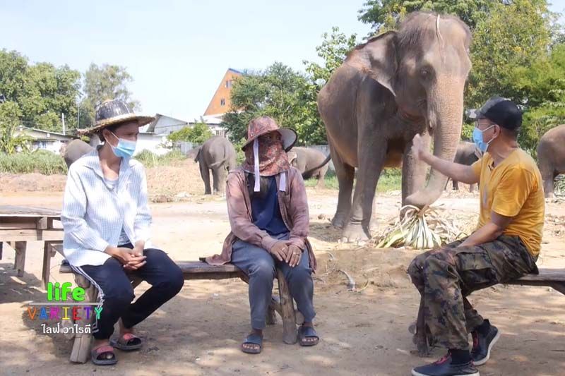รายการ LIFE VARIETY : นิดา สุขแสวง , คำสร้อย สุขกิจ เจ้าของช้าง