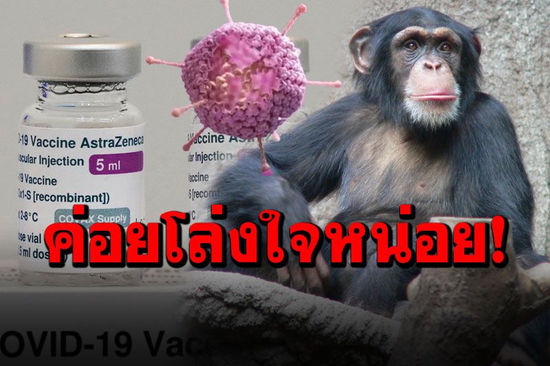 ไม่ใช่ลิงก็สบายใจได้! 'จ่าพิชิต'ย้ำไวรัสใช้ทำวัคซีนโควิด'แอสตราฯ'ไม่ทำให้คนติดเชื้อ