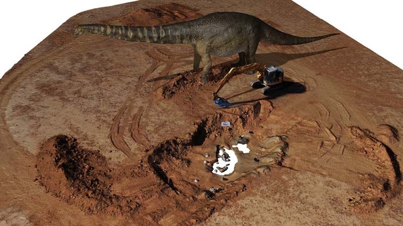 Science Update : พบไดโนเสาร์พันธุ์ใหม่ในออสเตรเลีย