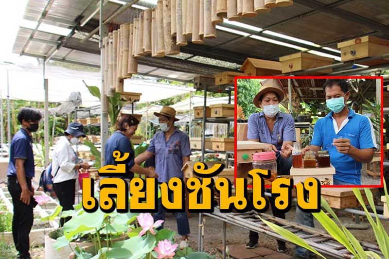 'ม.ราชภัฏจอมบึง' หนุนแบบโลโก้ต่อยอดสินค้ากลุ่มเลี้ยงชันโรงบ้านบางกล้วย