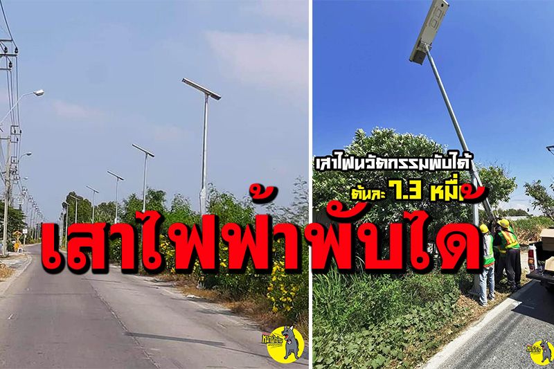 อึ้งหนักกว่าเดิม! คราวนี้เป็นเวอร์ชั่น'เสาไฟฟ้าพับได้' กำลังเป็นที่นิยมเบาะๆ ต้นละ 7.3 หมื่น