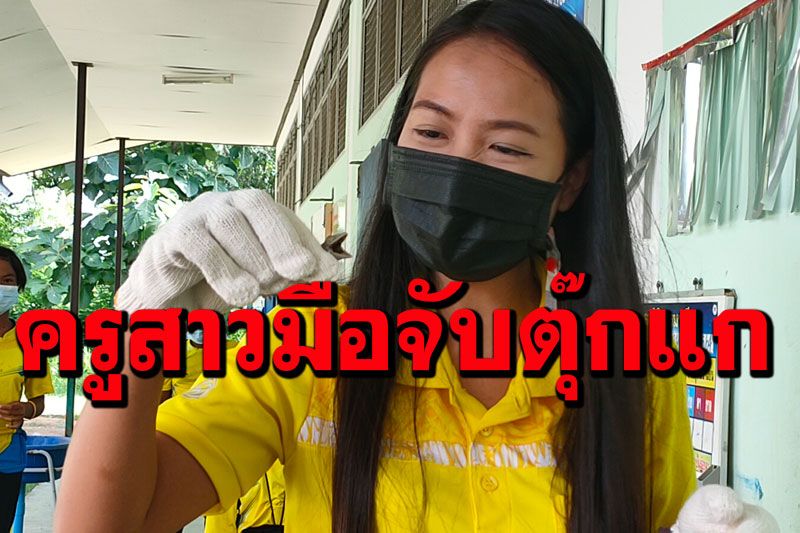 เปิดใจครูสาวมือจับตุ๊กแก ขวัญใจเด็กๆ เผยไม่อยากใช้ไม้ตี สงสาร แค่จับปล่อยป่า
