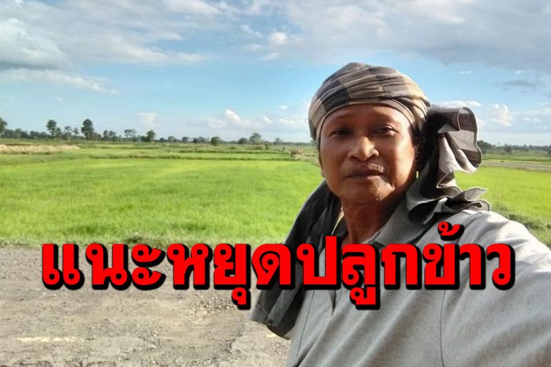 'พงศา'แนะหยุดปลูกข้าวเพื่อขาย-ลดทำนาเปลี่ยนเป็นสร้างไม้มีค่า แก้ปัญหา'ยากจน'ซ้ำซาก