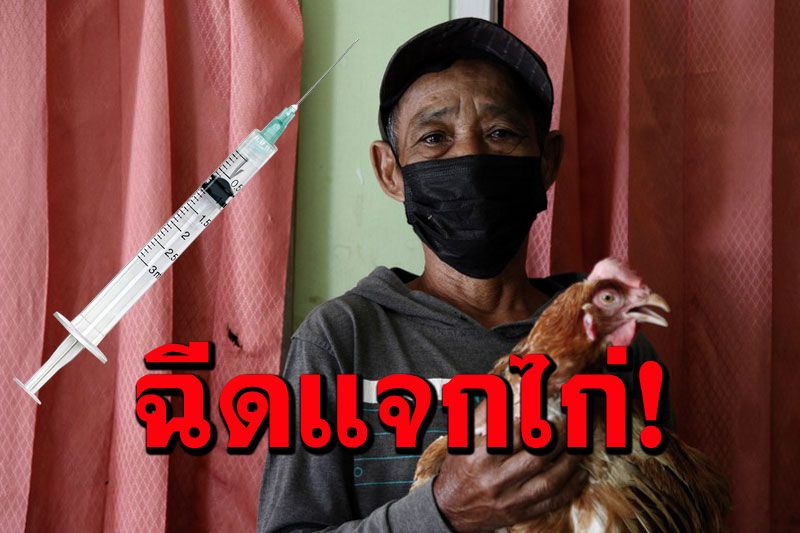 'อินโดนีเซีย'จัดแคมเปญ‘ฉีดวัคซีน รับไก่ฟรี’ หนุนป้องกันโควิด-19