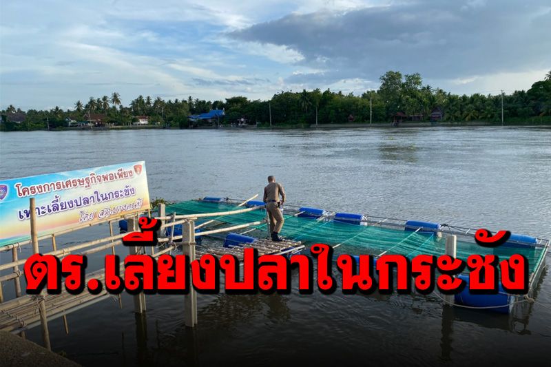 สภ.บางคนที น้อมนำเศรษฐกิจพอเพียงเลี้ยงปลาในกระชัง แจกชาวบ้าน-ครอบครัว ตร.