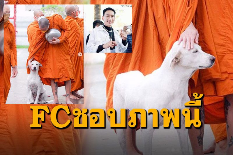 เห็นแล้วยิ้ม! ภาพ'หลวงพี่แพท พาวเวอร์แพท' เอ็นดูเจ้าตูบจนต้องเดินตาม