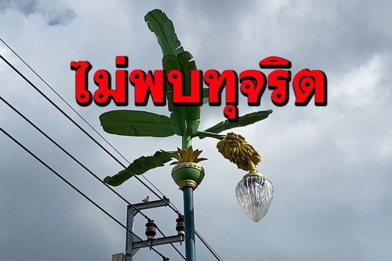 ปปท.เข้าตรวจสอบ'เสาไฟฟ้าต้นกล้วย' พบจัดสร้างทำตามระเบียบไม่มี'ทุจริต'