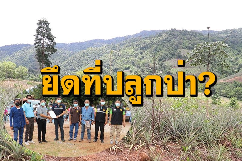 ชาวบ้านงง! ป่าไม้ยึดที่ดินทำกิน ทำโครงการปลูกป่า 5หมู่บ้านร้องขอความเป็นธรรม