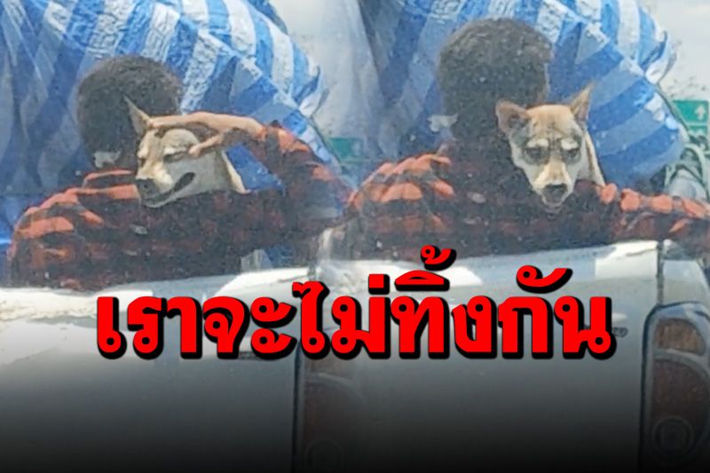 ขอบคุณนะที่ไม่ทิ้งน้อง! ระหว่างทางกลับบ้านรถติดแดดร้อน เห็นแบบนี้ยิ้มตามเลย (คลิป)