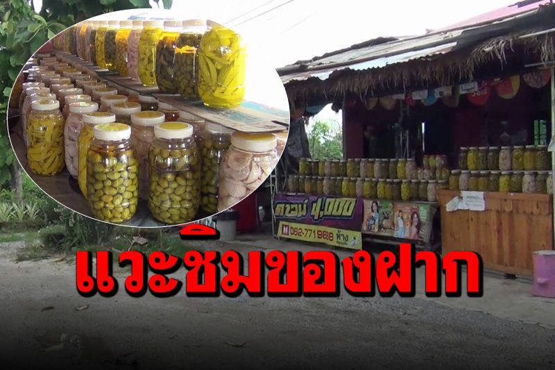 ทีเด็ดของอร่อย! ‘ผลไม้ดอง’ ริมถนนสุโขทัย ขายมานาน 5 ปี