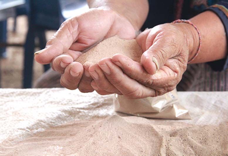 สกู๊ปพิเศษ : ม.กาฬสินธุ์หนุนปลูกผักไฮไดรโปรนิกส์สร้างรายได้ช่วงวิกฤติโควิด