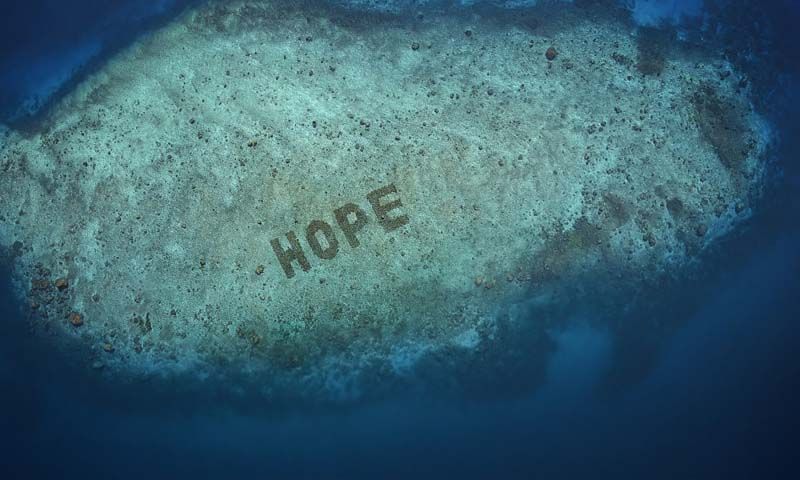 โซไซตี้ : เปิดตัว ‘Hope Reef’ โครงการฟื้นฟูปะการังที่ใหญ่ที่สุดในโลก