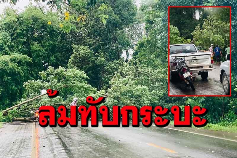 พายุถล่มแหลมงอบพัดต้นไม้ล้มขวางถนนทับกระบะบาดเจ็บ 2 ราย